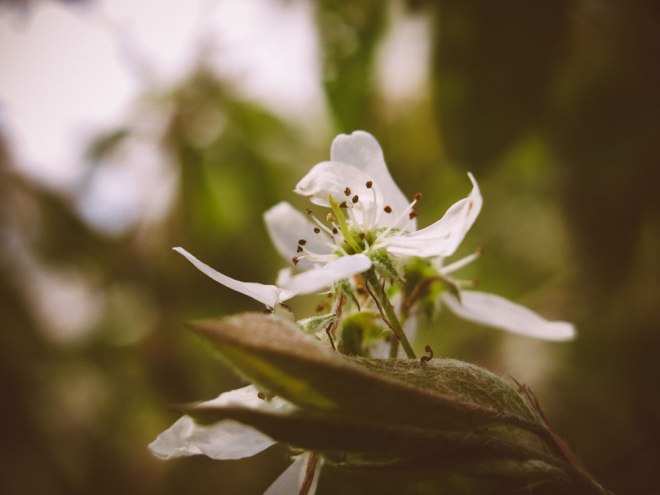 blog_setagayapark1504-5