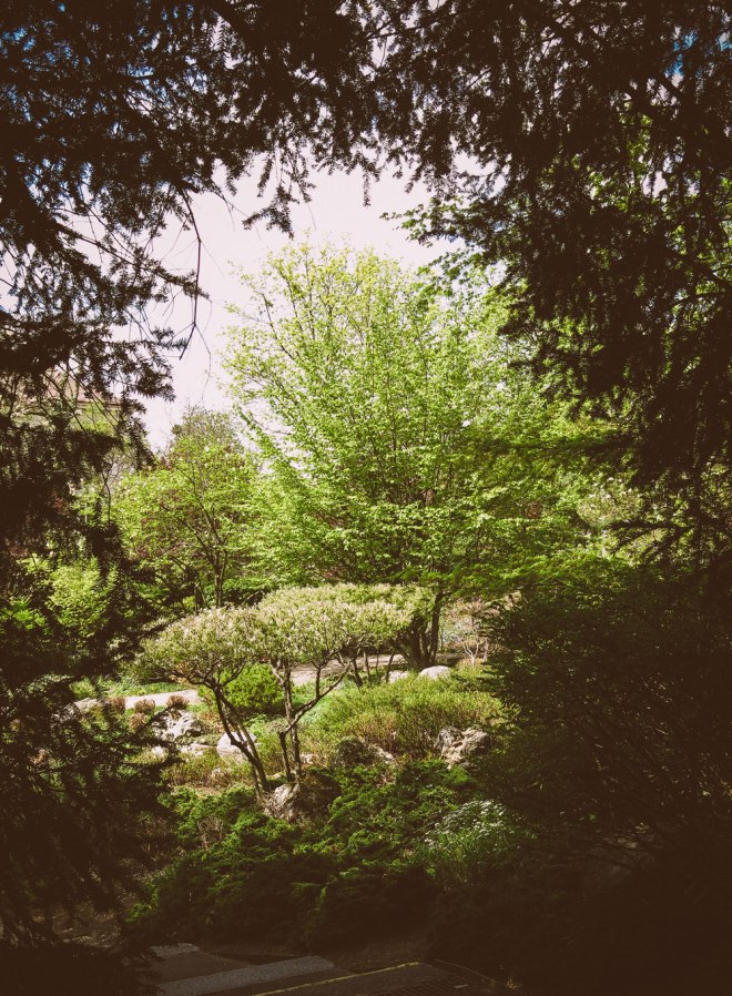 blog_setagayapark1504-6