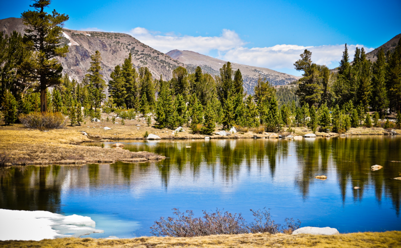 Über das Phänomen, sich „wo anders“ „wie daheim“ zu fühlen:&nbsp;Yosemite