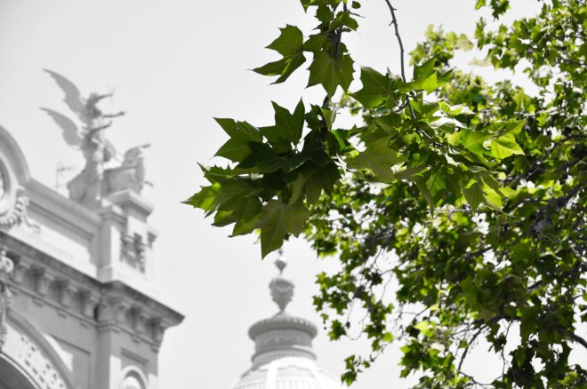 blog_urlaub_mallorca-valencia-details06