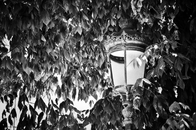 blog_urlaub_mallorca-valencia-laternen07