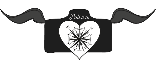 logo_paleica_kompass_dunkel
