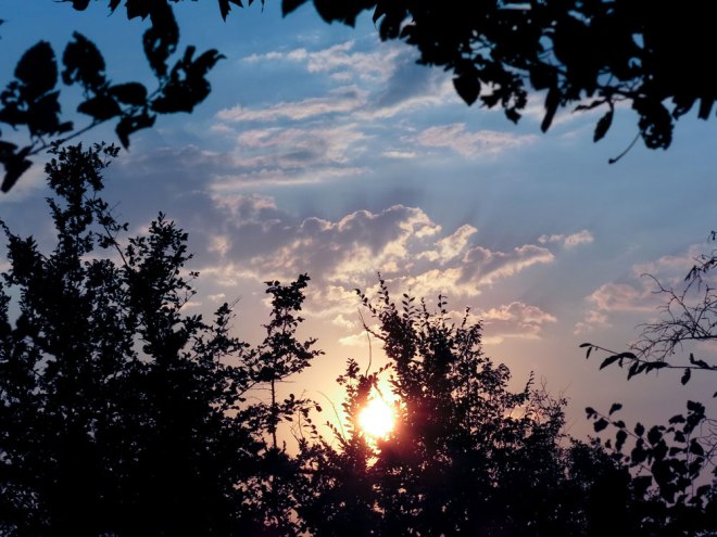 blog_kurpark-oberlaa-abendlicht5