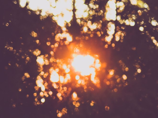 blog_kurpark-oberlaa-abendlicht8