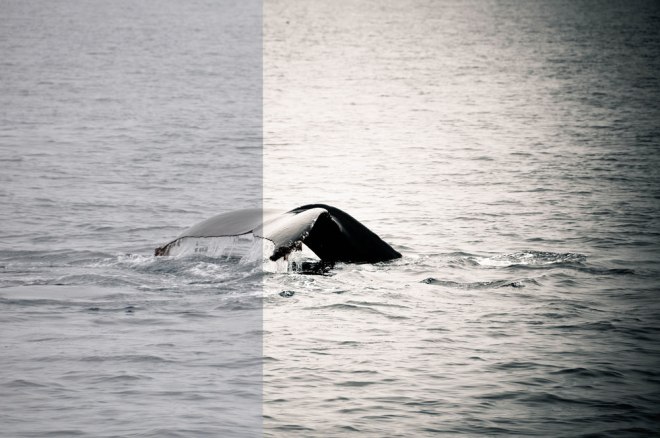 blog_vorher-nachher10