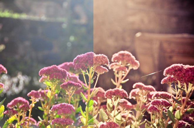 blog_vorher-nachher12