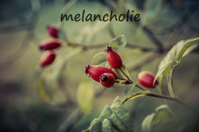 blog_nur-ein-wort_melancholie