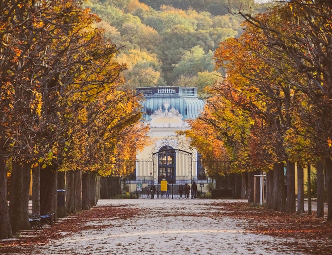Die letzten Sonnenstrahlen in Schönbrunn Pt. IV: Alleen für Annes Herbstspaziergang