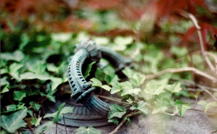 Analog am Zentralfriedhof: kreuz und quer & Gedanken zu&nbsp;Begegnungen