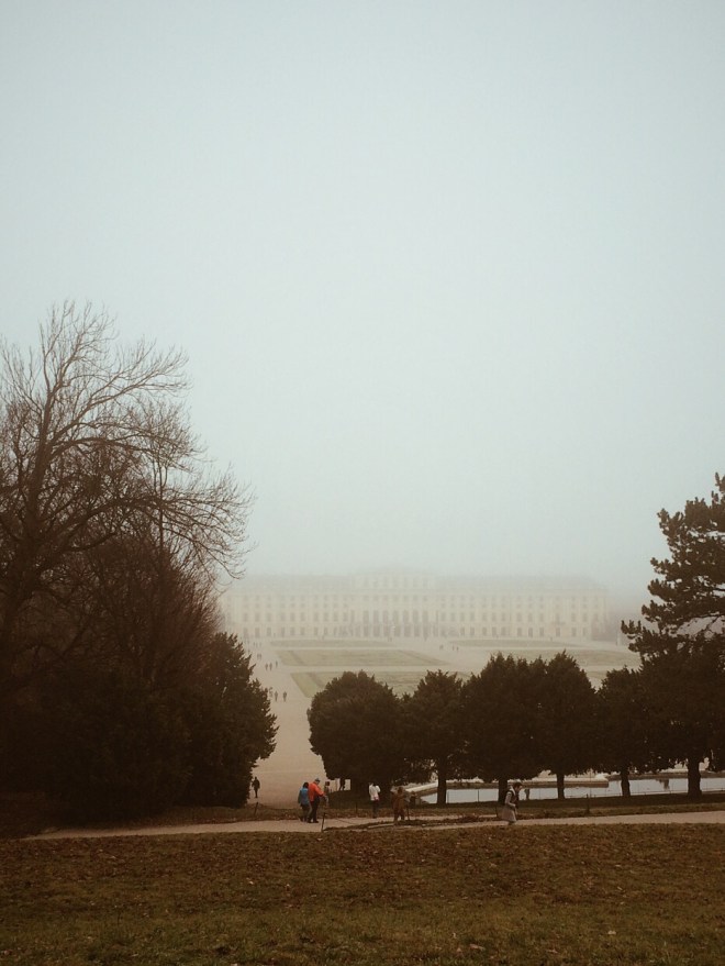 Processed with VSCOcam with a4 preset