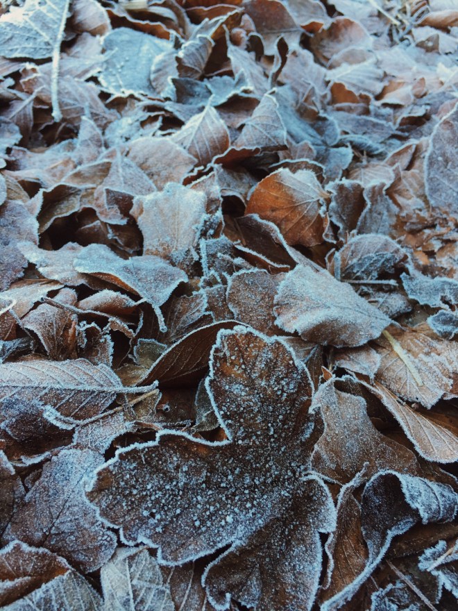 Processed with VSCOcam with kk2 preset