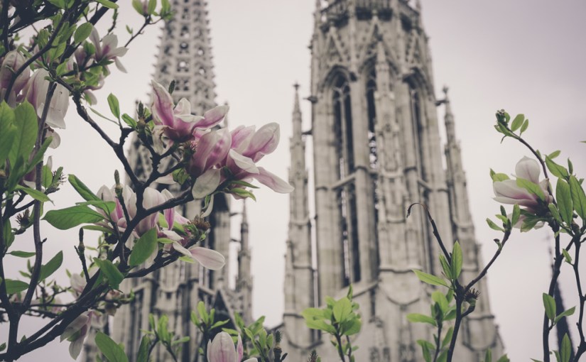 Eine Runde um die Votivkirche mit der Sony Alpha 6000 inklusive Erfahrungsbericht