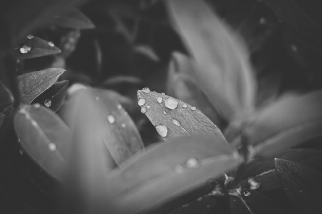 blog_innenstadtapril16-15