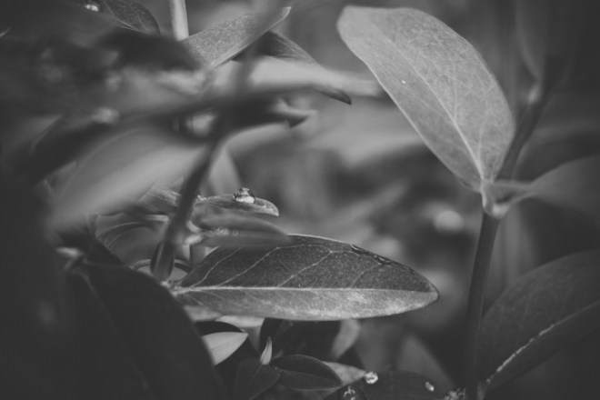 blog_innenstadtapril16-17