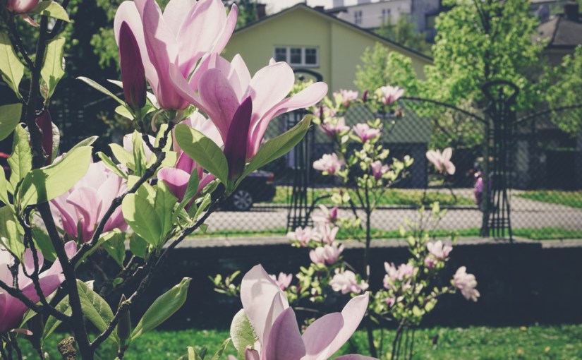 Blogparade: Helden und&nbsp;Genies