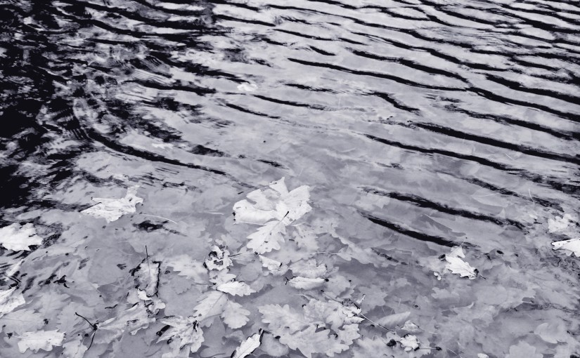 1993: das Jahr in dem die Schatten der Vergänglichkeit in mein Leben&nbsp;kamen