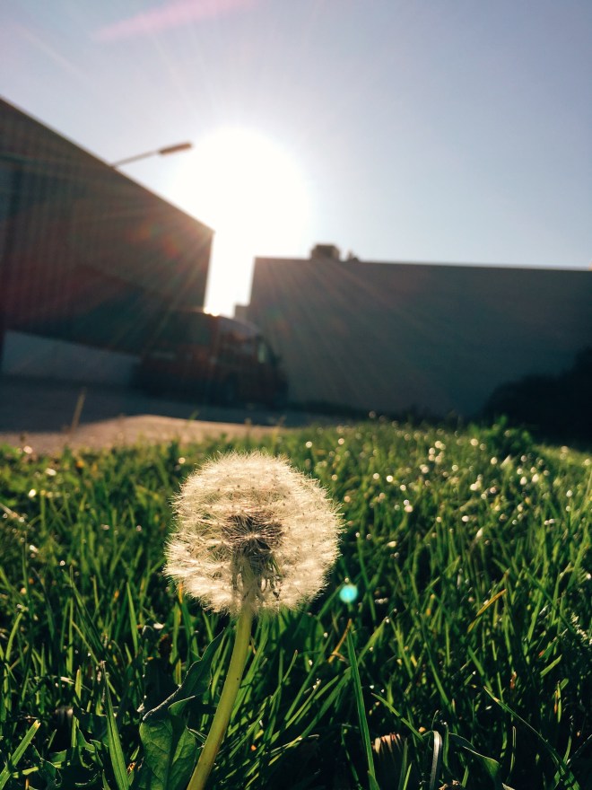 Processed with VSCO with e2 preset