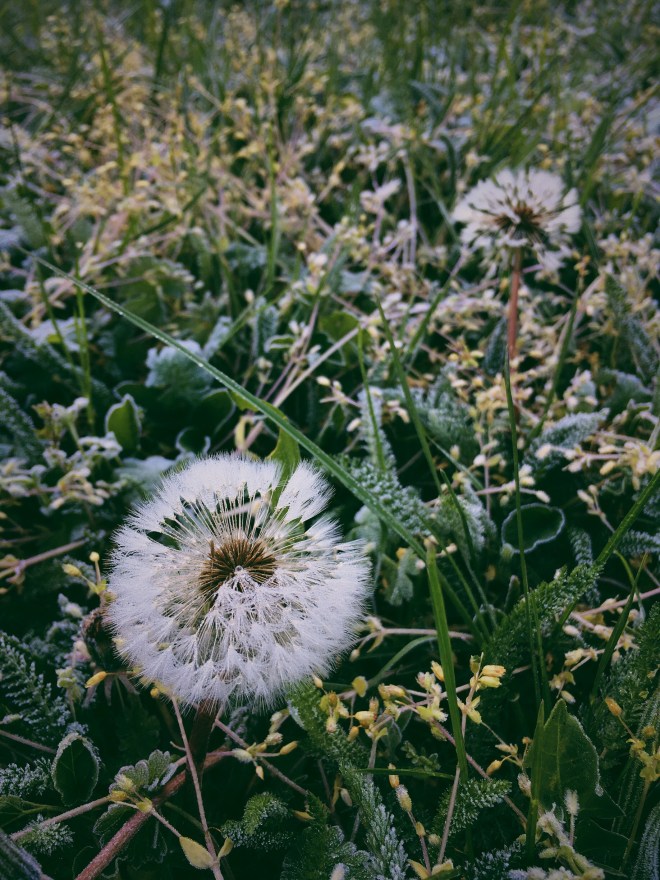 Processed with VSCO with 6 preset