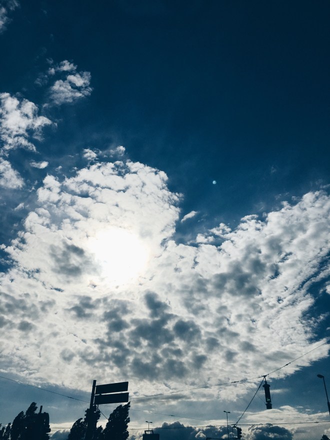 Processed with VSCO with hb1 preset