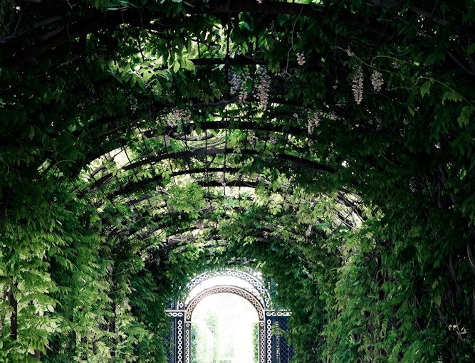 Lieblingsort Schönbrunn im Frühsommer II [Wort]&nbsp;Baba