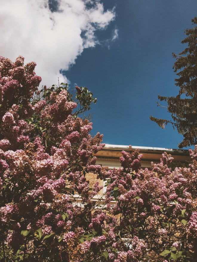 Processed with VSCO with c5 preset