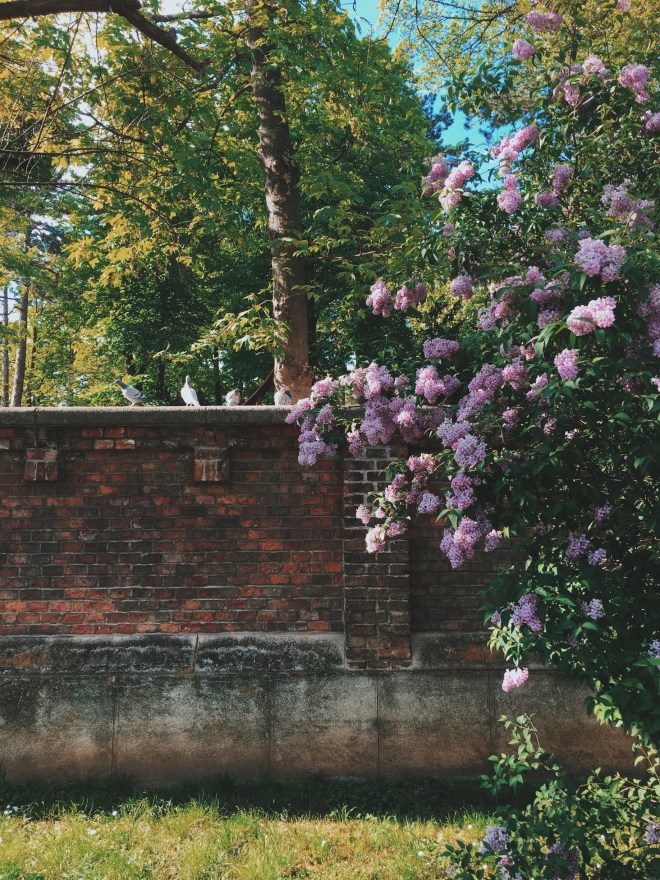 Processed with VSCO with c8 preset