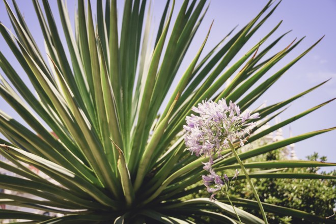 blog_portugal-lissabon02