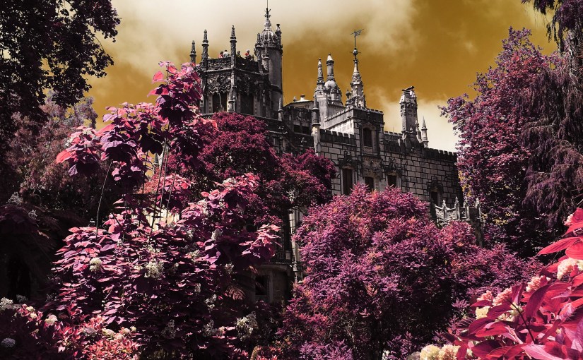 Appvorstellung: Filterra