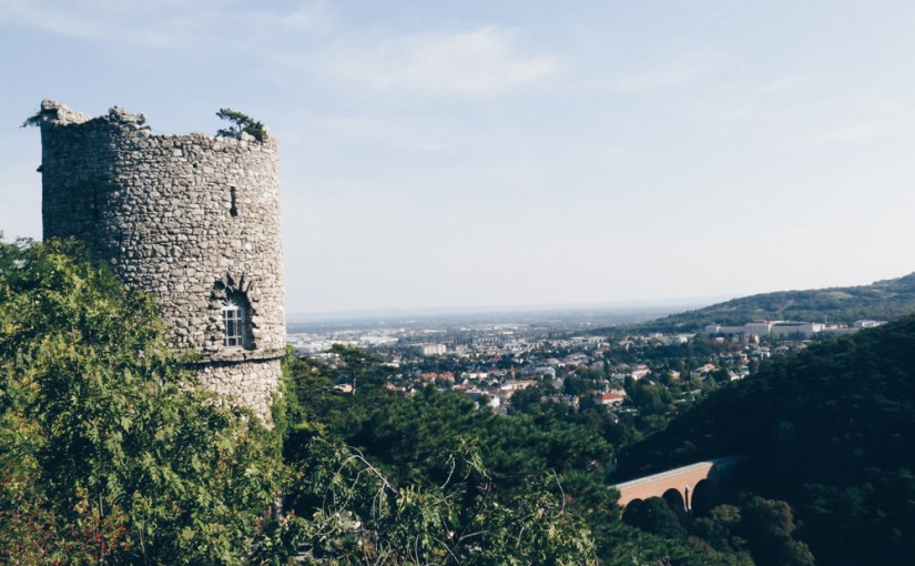 Herbstspaziergang in meinem&nbsp;Föhrenwald