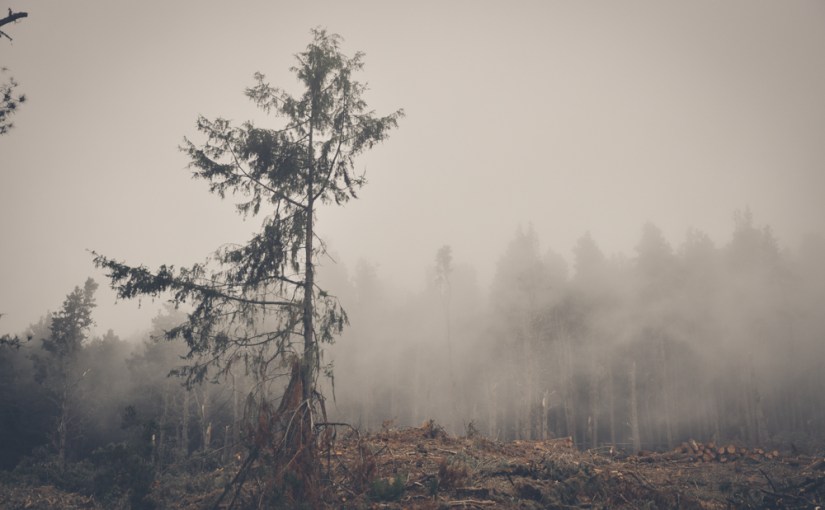 12 magische Mottos:&nbsp;Oktober