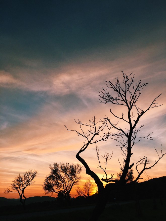 Afrikanischer Sonnenuntergang auf den Steinhofgründen