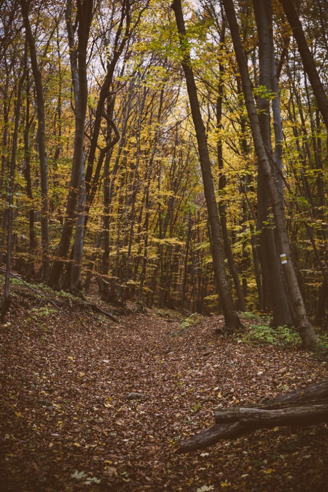 blog_anninger-2016-okt08