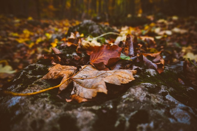 blog_anninger-2016-okt09