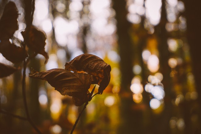 blog_anninger-2016-okt11