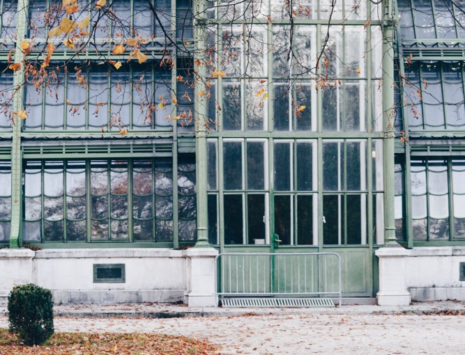 Herbst in Wien: Stein, Stahl und Wasser in Schönbrunn und am&nbsp;Zentralfriedhof