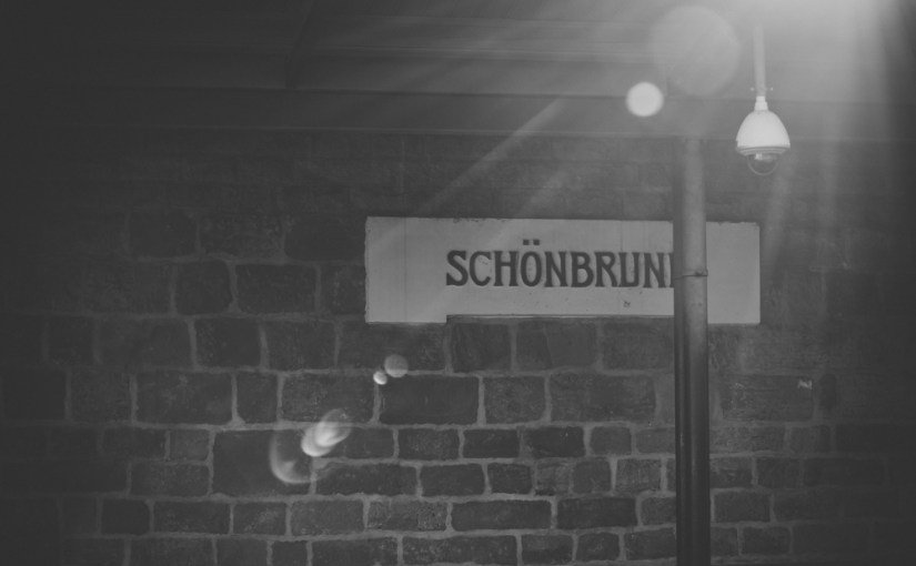 Die letzten Sonnenstrahlen in Schönbrunn Pt. II: monochrom & [Wort]&nbsp;gravitätisch