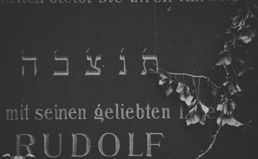 Zentralfriedhof monochrom oder Still.Leben pt. II & die nächsten 52 Fragen von LaVieVagabonde&nbsp;3/4