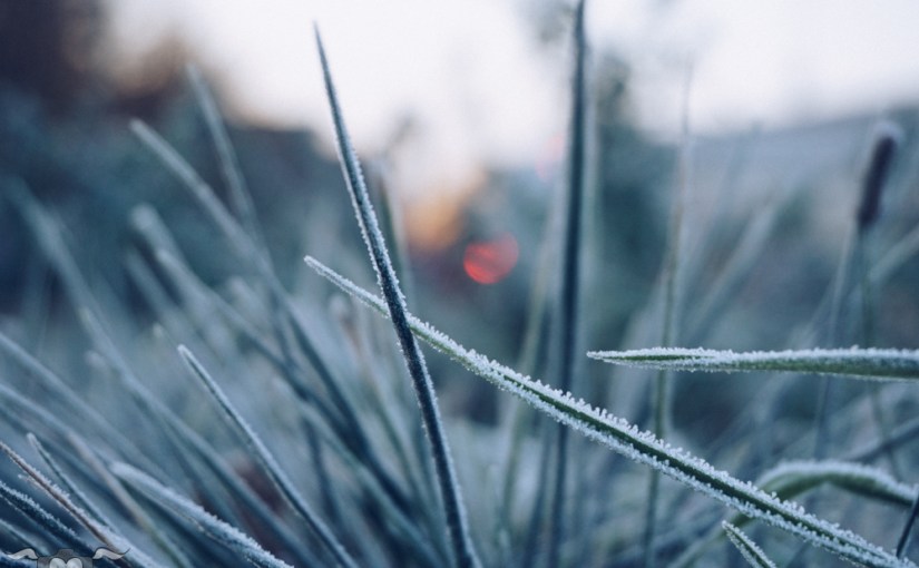 Glück ist unabhängig von Erfolg. Und Erfolg ist&nbsp;subjektiv.