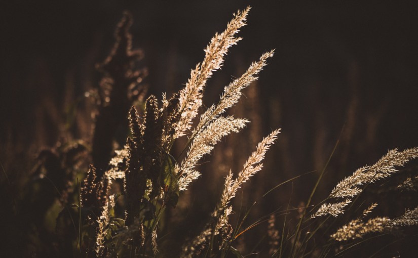 Magische Mottos 2.0:&nbsp;April