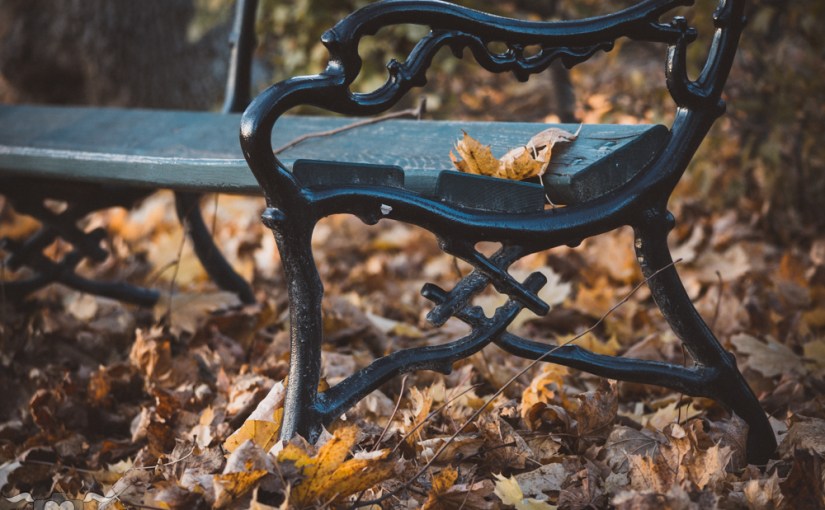 Die letzten Sonnenstrahlen in Schönbrunn Pt. VI: Laub überall! & 2xMystery Blogger&nbsp;Award