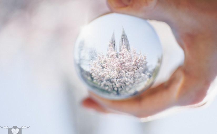 Frühlingsspaziergang an der Wiener Ringstraße & Wien im Glas: um die&nbsp;Votivkirche