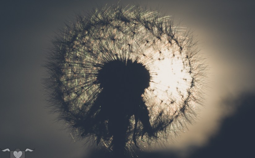 Nina, Tina und die Sache mit der&nbsp;Wiese