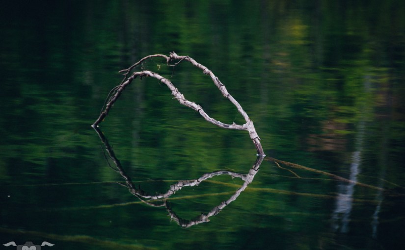 Fotoparade 1-2017: ungewöhnlich, entspannt, fern, beleuchtet, alt, schönstes Foto und ein bisschen&nbsp;mehr!