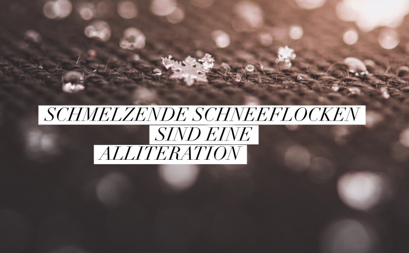Schmelzende Schneeflocken im Makromodus & [Wort]&nbsp;Alliteration
