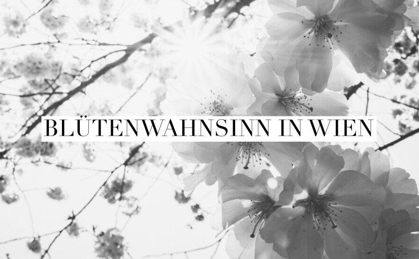 Frühling in der Stadt:&nbsp;Blütenwahnsinn