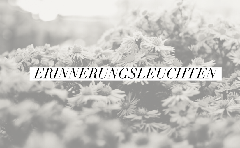 Herbstbunt im Abendgegenlicht