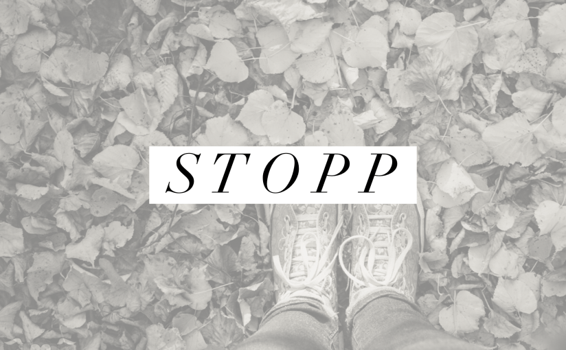 S T O P P ft. Schönbrunn im&nbsp;Herbst