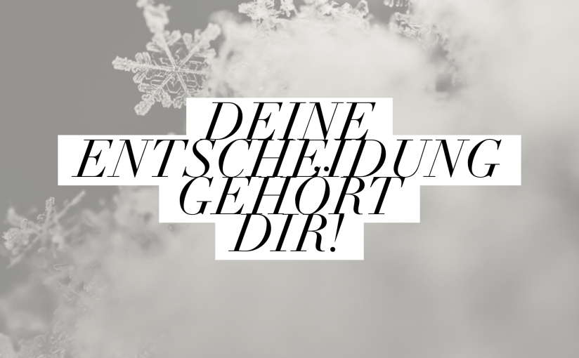 Der große Zauber der kleinen Welt: Schneeflocken im&nbsp;Makromodus