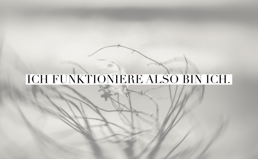 Ich funktioniere, also bin&nbsp;ich.