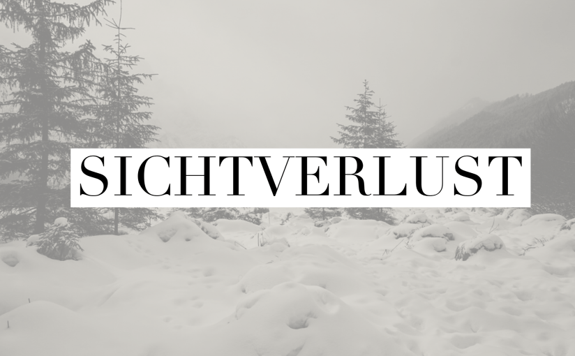 Wenn man sich selbst nicht erkennt und der Almsee im Schnee&nbsp;verschwindet